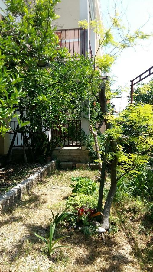 Apartmani Ivanka マカルスカ エクステリア 写真